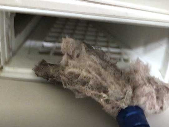 洗濯機クリーニング